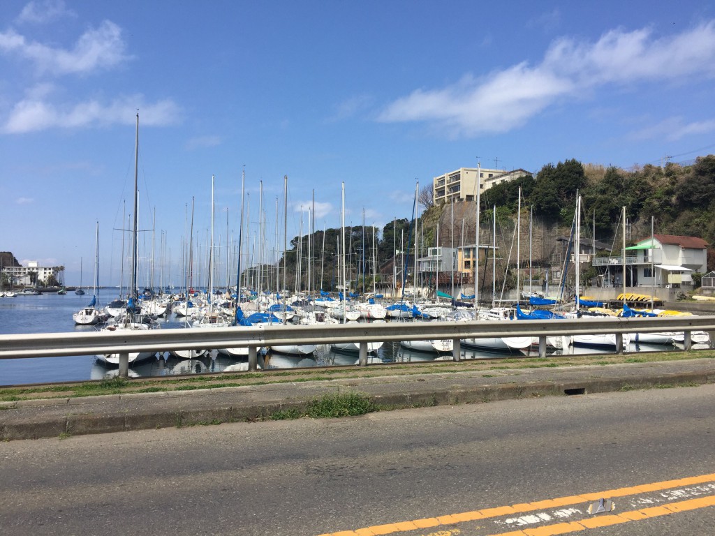 油壺マリーナ