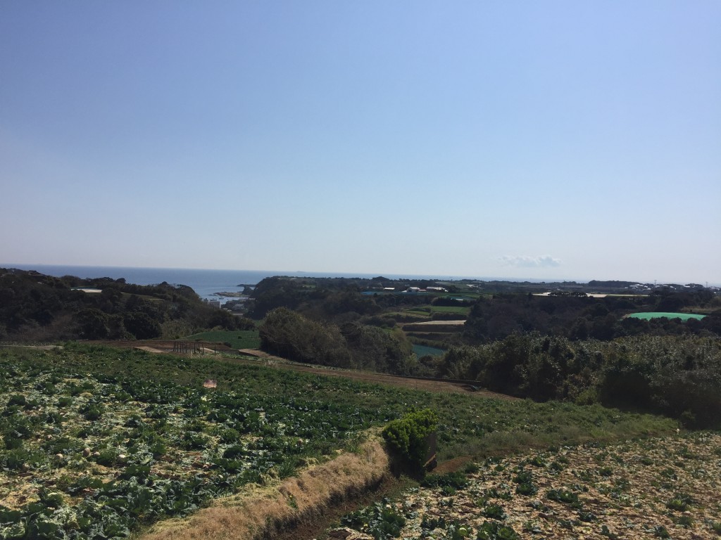 台地の上から見た景色