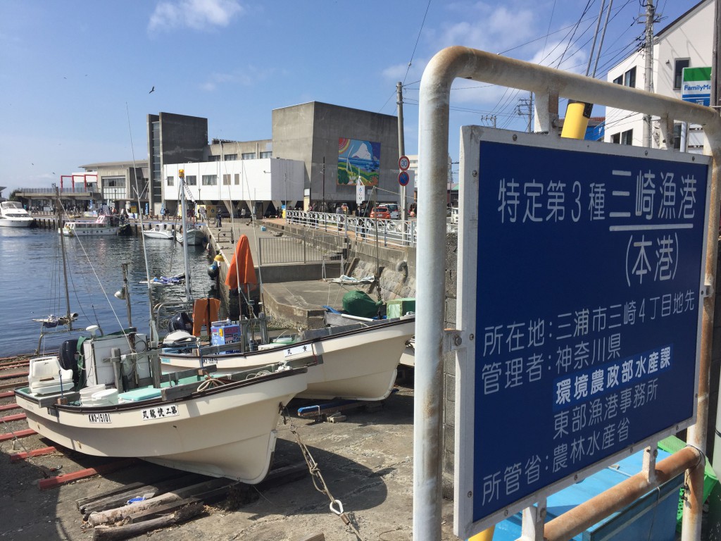 三浦漁港